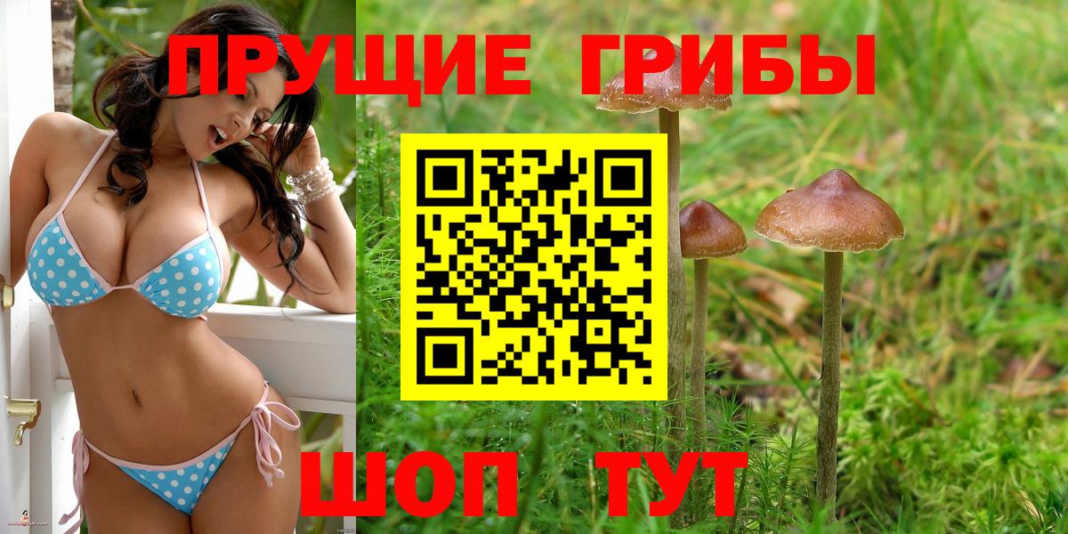 Новозыбков  Псилоцибиновые грибы ЛСД  Вход с VPN 