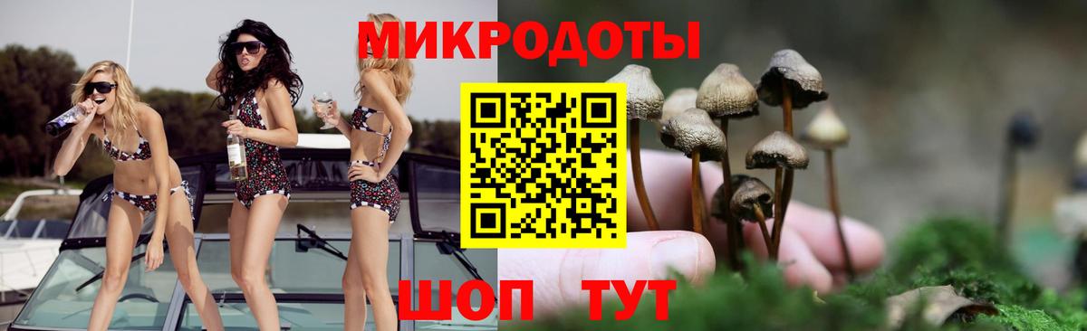 Галлюциногенные грибы мицелий Новозыбков